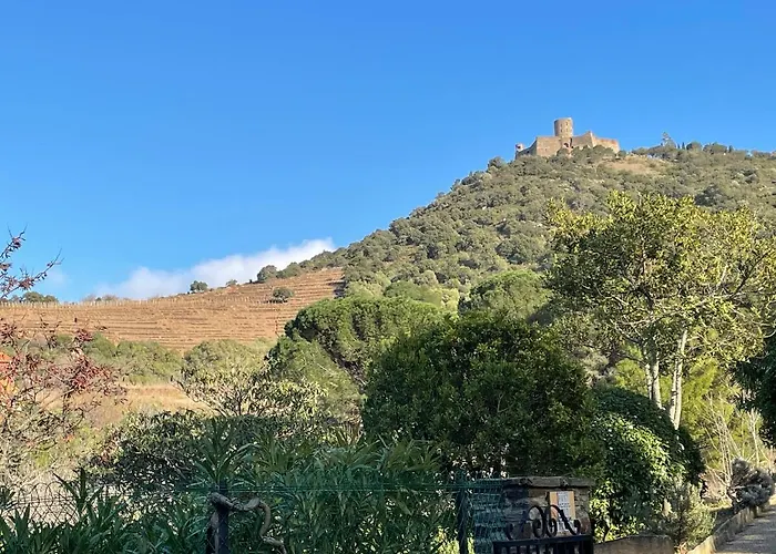 Appartement T2 A Collioure Avec Terrasse Et Parking Prive, A 300M De La Plage - Fr-1-309-385